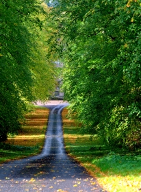 Weg zum Schloss Schlemmin